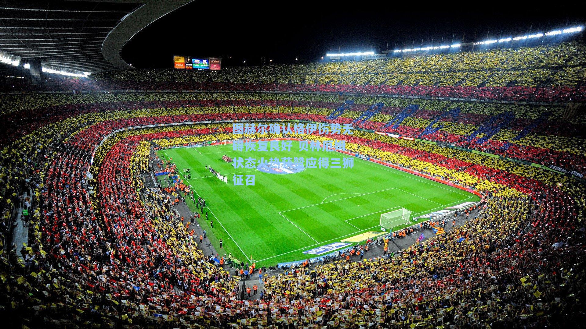 图赫尔确认格伊伤势无碍恢复良好 贝林厄姆状态火热获赞应得三狮征召